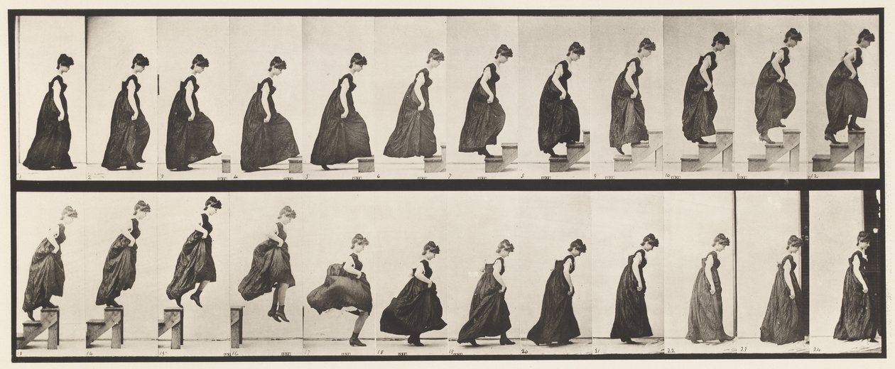 Tavola 173. Salire i gradini e saltare giù, 1885 da Eadweard Muybridge