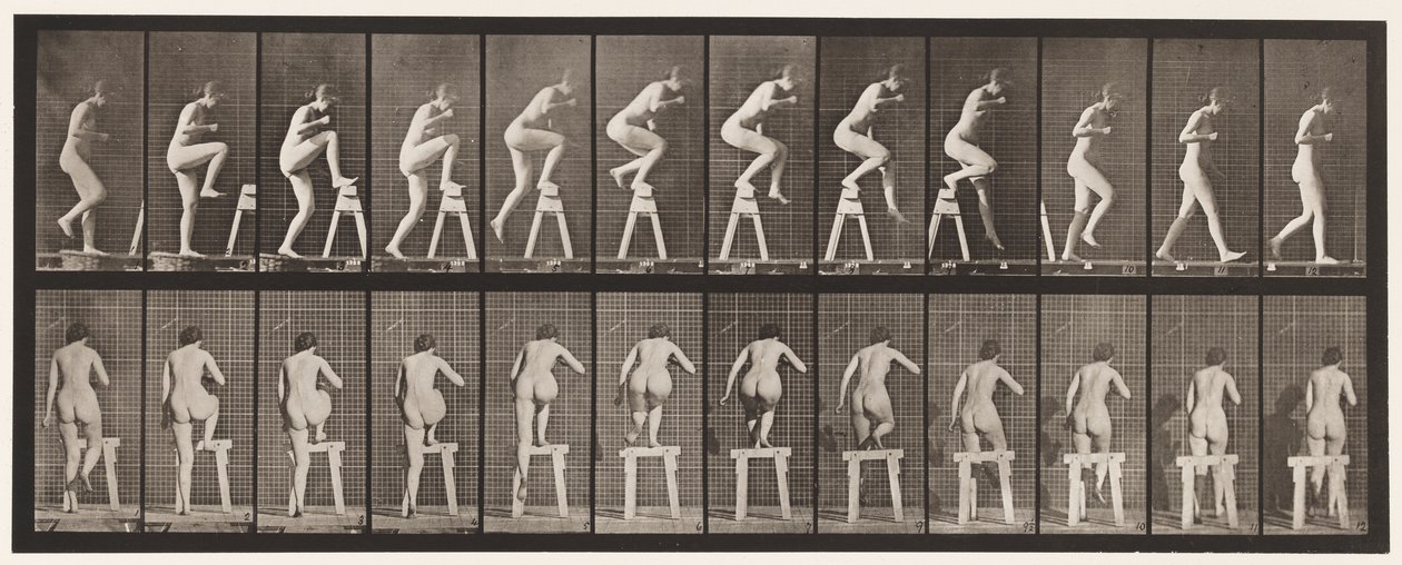 Piastra 178. Salire e scendere un cavalletto da Eadweard Muybridge