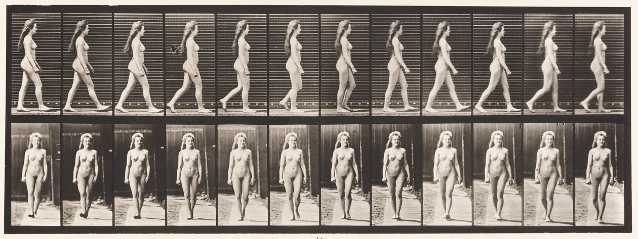 Tavola 17. Camminare da Eadweard Muybridge