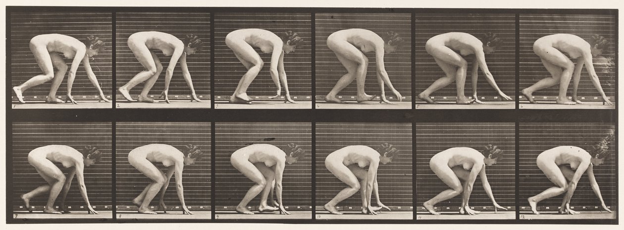 Piastra 183. Camminare su mani e piedi da Eadweard Muybridge