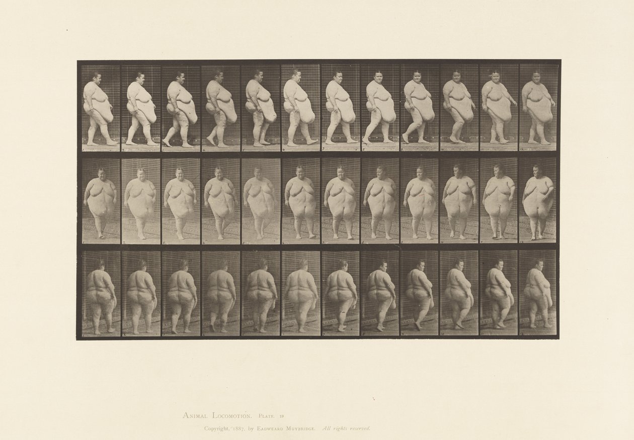 Tavola 19. Camminata, Inizio della Rotazione da Eadweard Muybridge