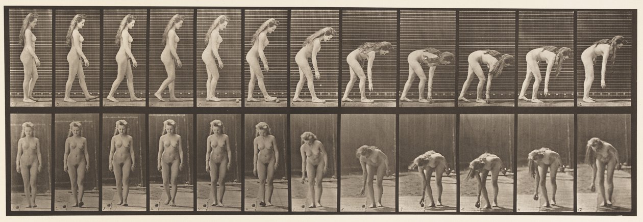 Fermarsi per raccogliere una palla (tavola 204) da Eadweard Muybridge