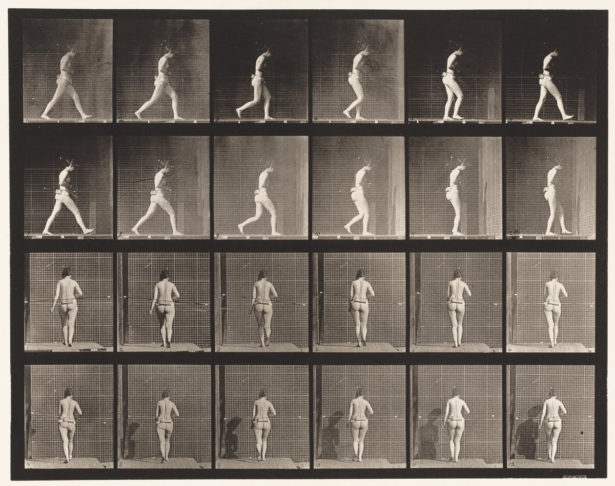 Camminare, gomito destro piegato (tavola 20) da Eadweard Muybridge