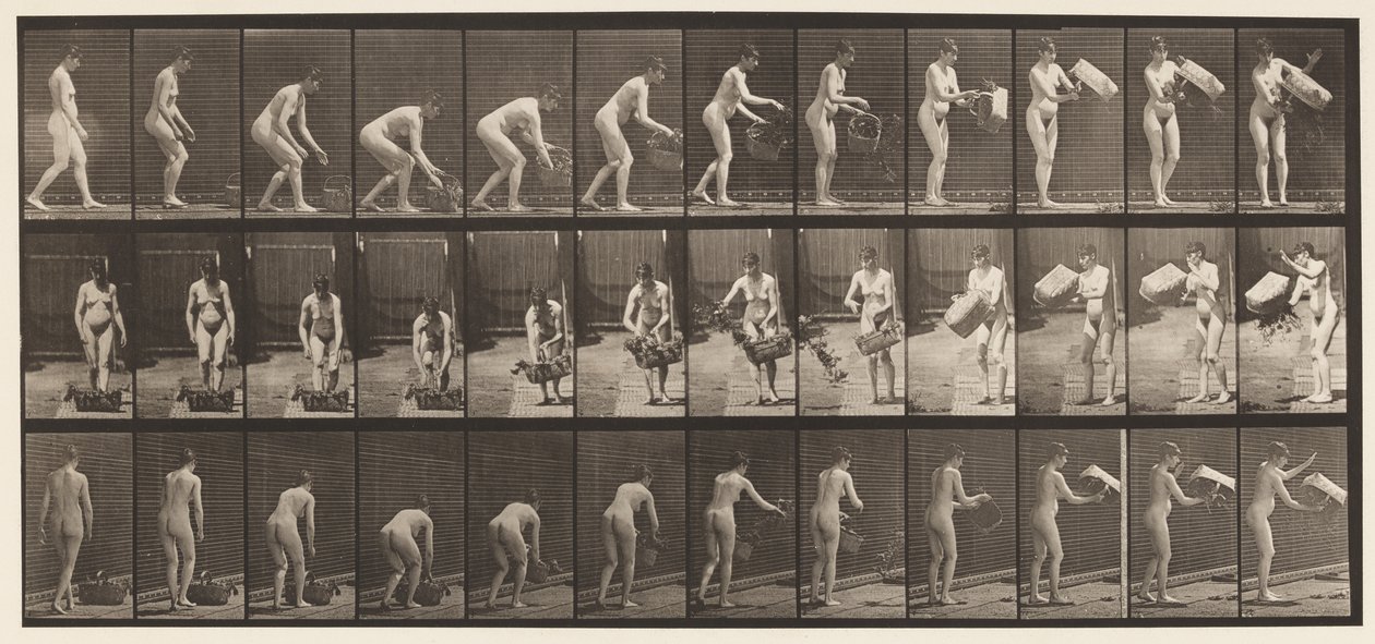 Tavola 213. Sollevare e svuotare un cestino da Eadweard Muybridge