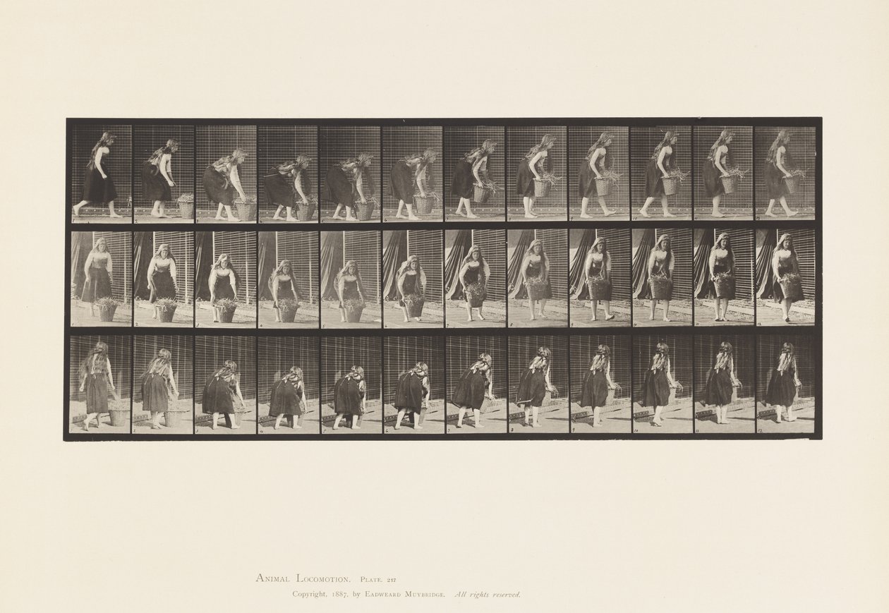 Chinarsi, Sollevare e Trasportare un Cesto da 30 lb, 1885 da Eadweard Muybridge