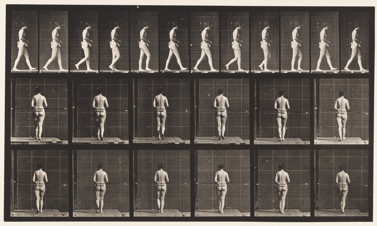 Piastra 21. Camminare, entrambi i gomiti piegati da Eadweard Muybridge