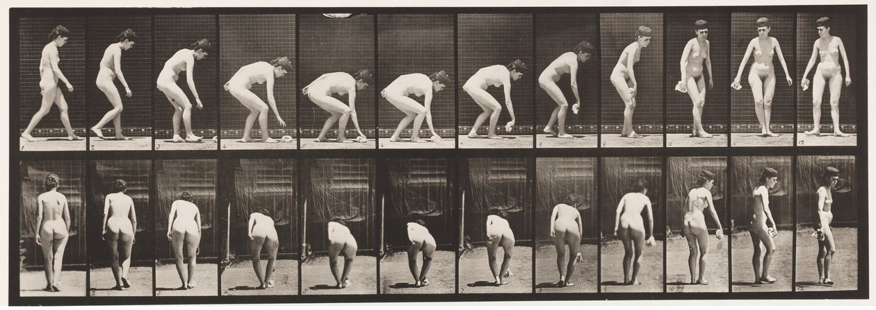 Chinarsi e sollevare un fazzoletto e girarsi (tavola 220) da Eadweard Muybridge