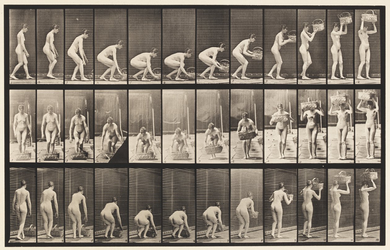 Piatto 221. Piegandosi e sollevando un cesto da 12 libbre alla testa da Eadweard Muybridge