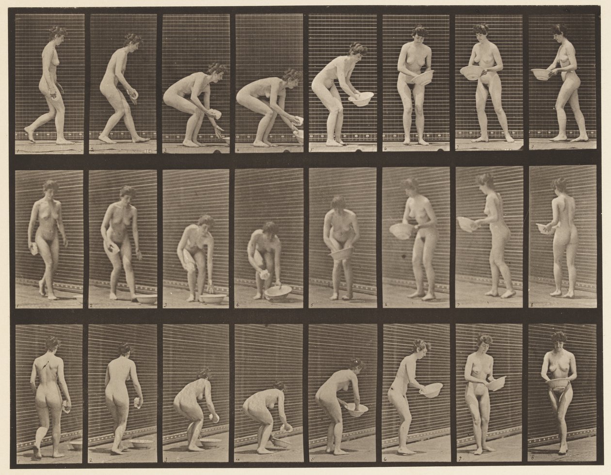 Chinarsi e sollevare una bacinella, pulirla e girarsi da Eadweard Muybridge