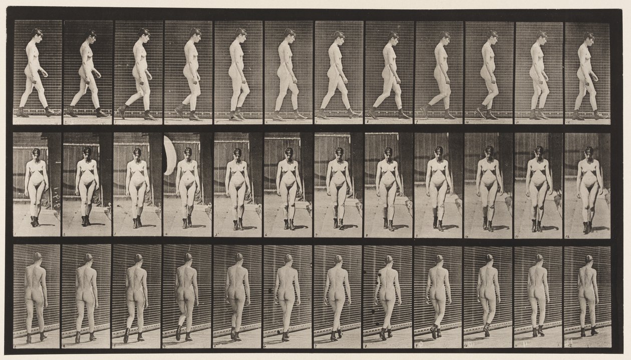 Tavola 22. Camminare, con stivali con tacco alto, 1872-1885 da Eadweard Muybridge