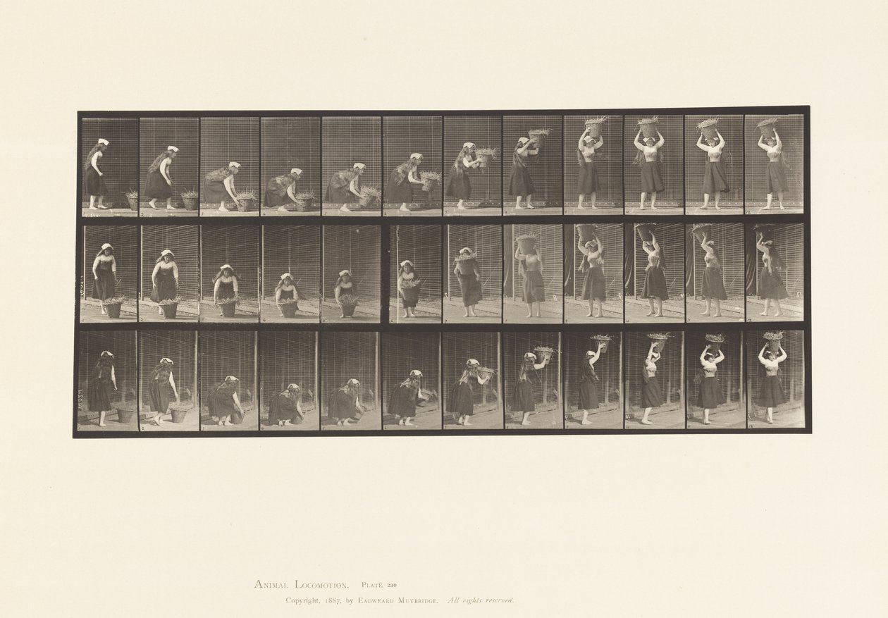 Tavola 230. Sollevare un cestino da 30 libbre da terra alla testa, girarsi, 1885 da Eadweard Muybridge