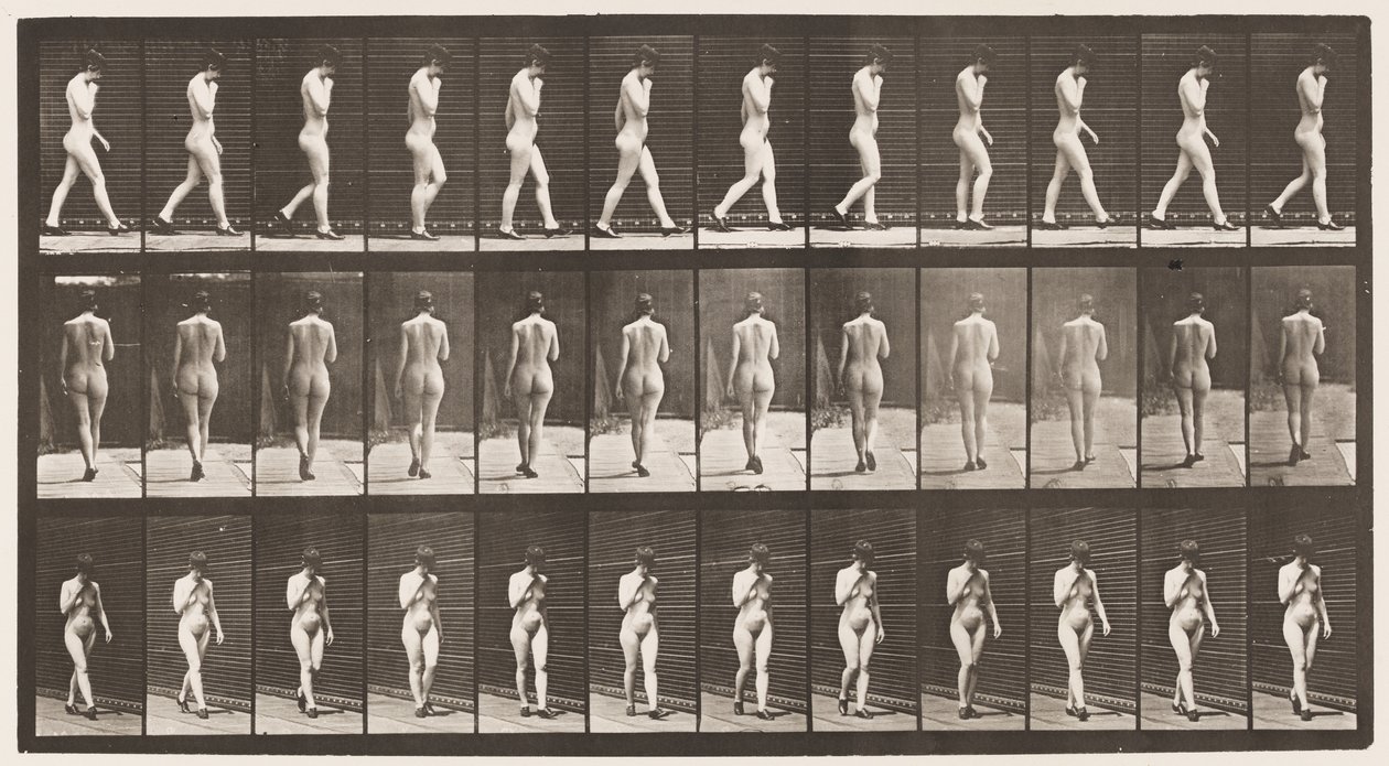 Camminare, mano destra al mento, con scarpe col tacco (tavola 23) da Eadweard Muybridge