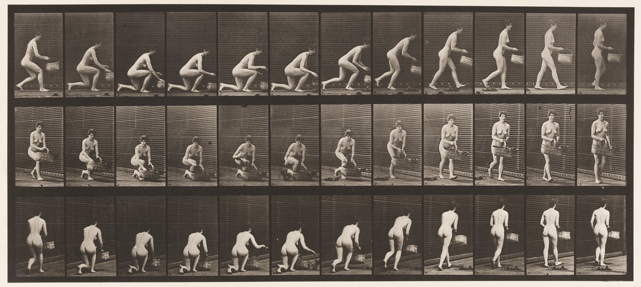 Inginocchiarsi sul Ginocchio Sinistro, Cesto nella Mano Sinistra, e Alzarsi, 1872-1885 da Eadweard Muybridge