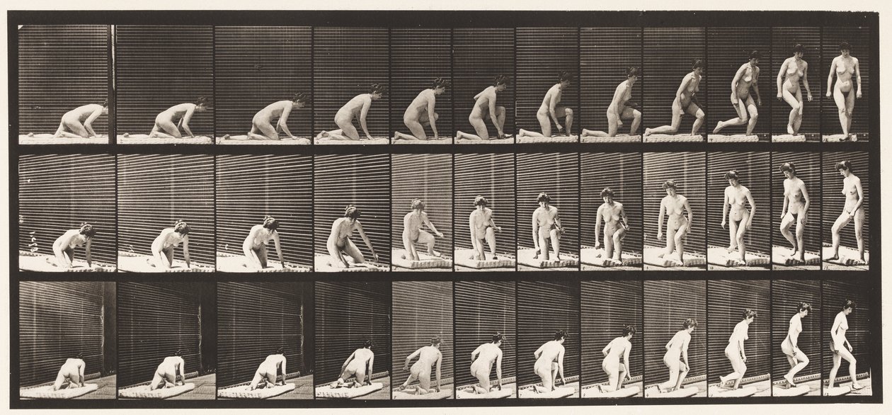 Tavola 255. Alzarsi da inginocchiato e girarsi da Eadweard Muybridge
