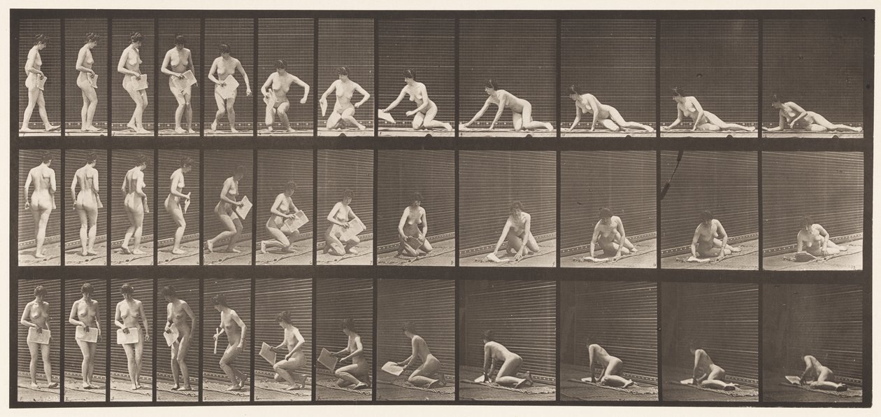 Tavola 256. Sdraiarsi a terra e leggere, 1872-1885 da Eadweard Muybridge