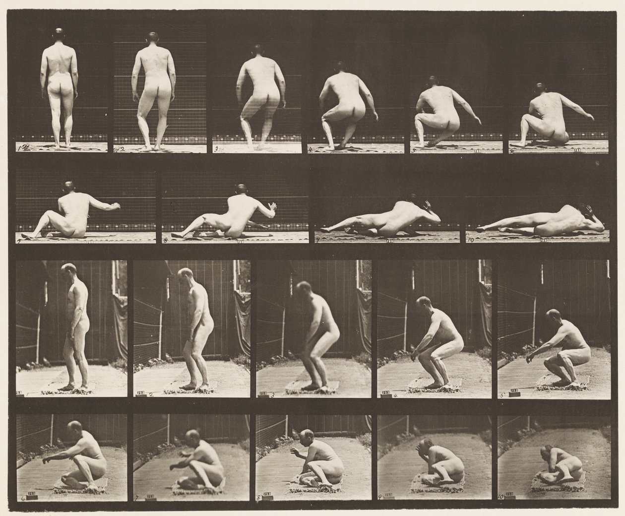 Sdraiato a terra da Eadweard Muybridge