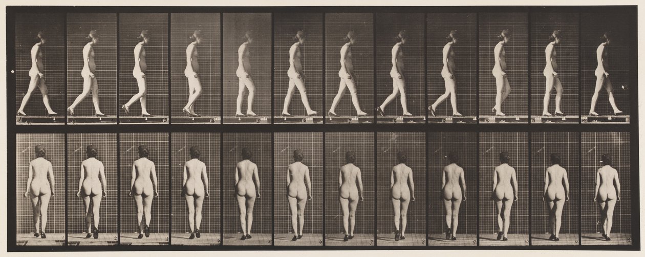 Tavola 25. Camminare con scarpe con tacco alto da Eadweard Muybridge