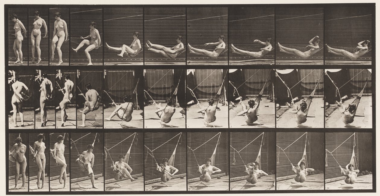 Entrare in un Amaca, 1872-1885 da Eadweard Muybridge