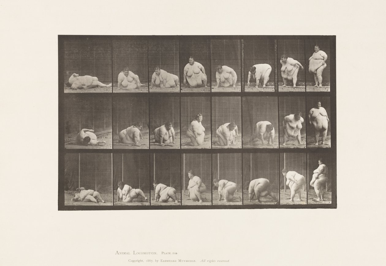 Alzarsi da Terra, 1885 da Eadweard Muybridge