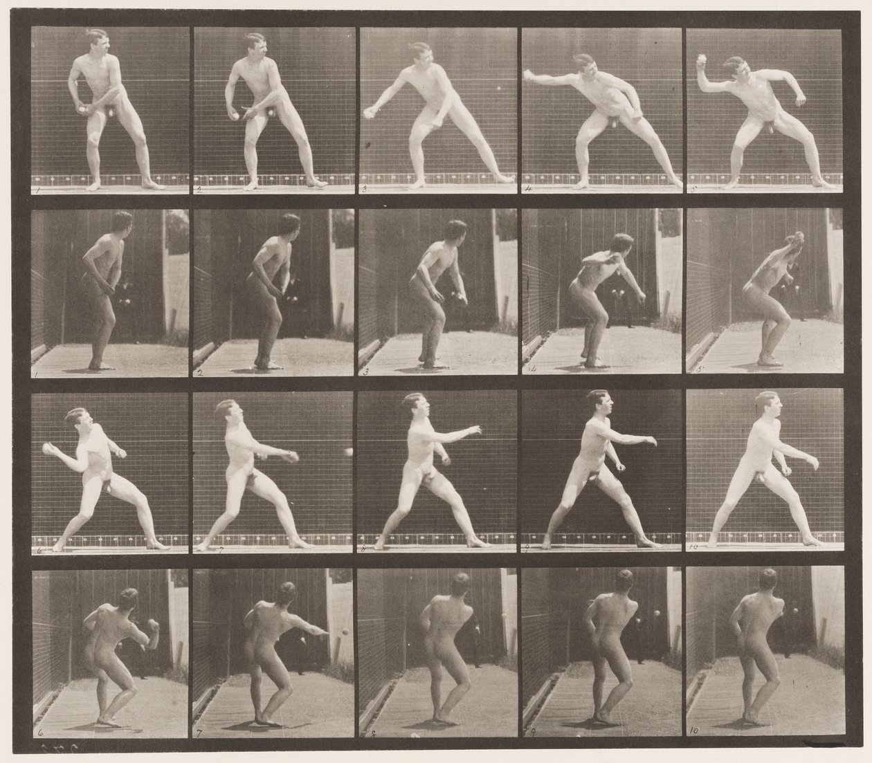 Tavola 273. Baseball; lanciare da Eadweard Muybridge