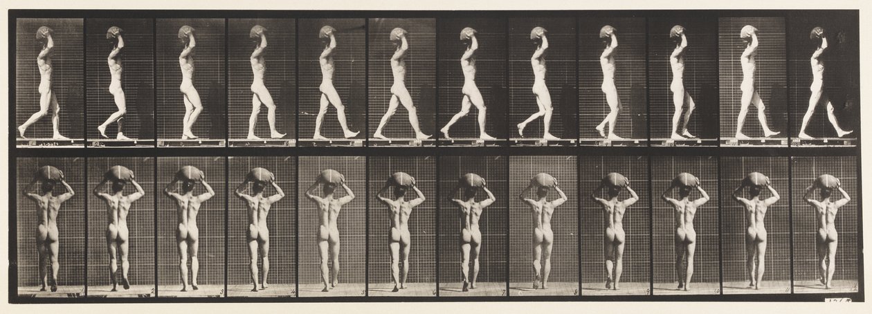 Tavola 27. Camminare, portando una pietra di 70 libbre sulla testa, mani alzate da Eadweard Muybridge