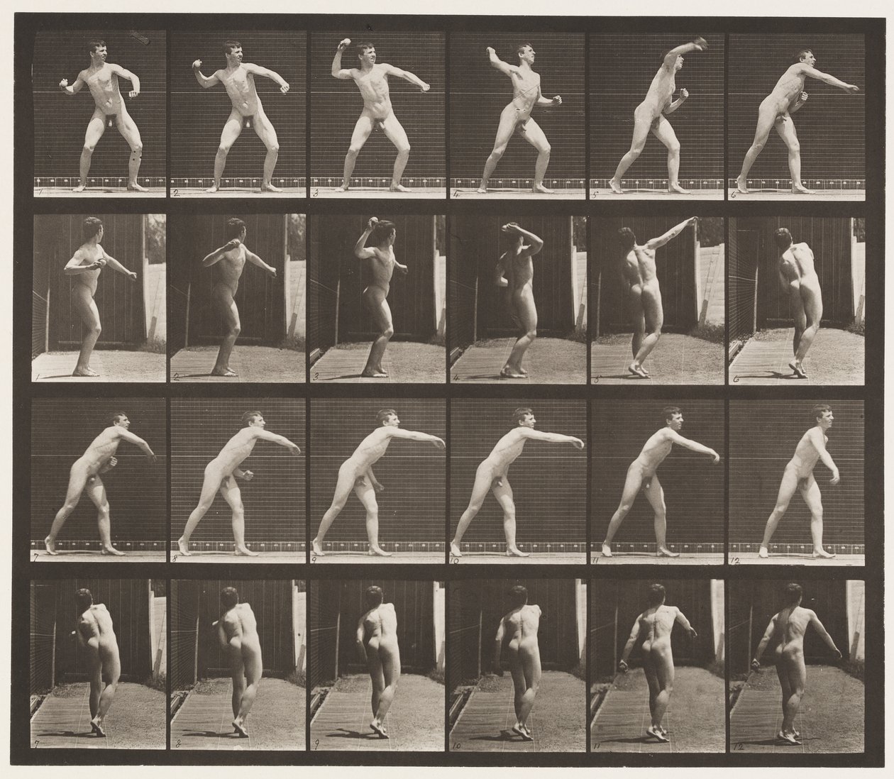 Tavola 286. Baseball; lancio da Eadweard Muybridge