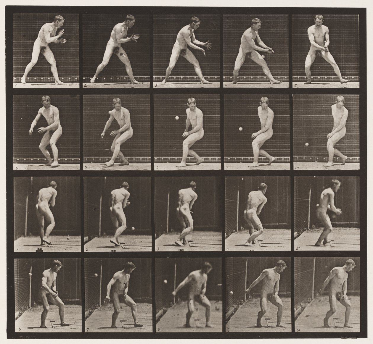 Tavola 288. Baseball; Errore da Eadweard Muybridge