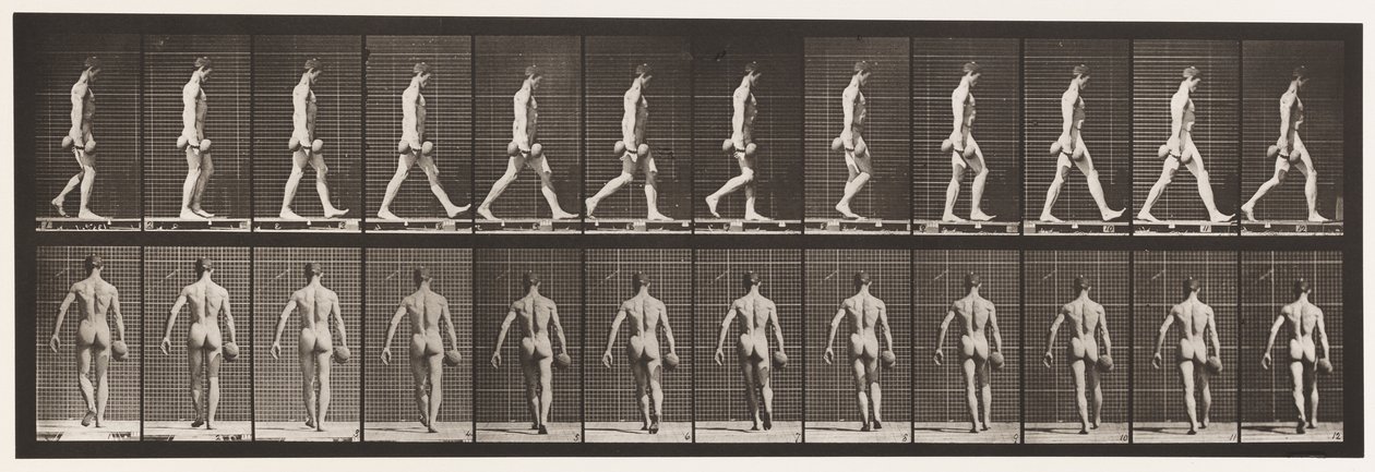 Tavola 28. Camminare, portando un manubrio da 50 libbre nella mano destra, 1872-1885 da Eadweard Muybridge