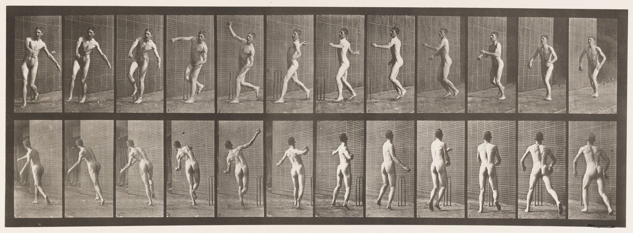 Cricket; lancio sopra il braccio da Eadweard Muybridge
