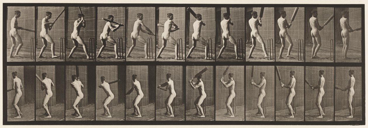 Tavola 292. Cricket; battere; schiena fuori, 1885 da Eadweard Muybridge