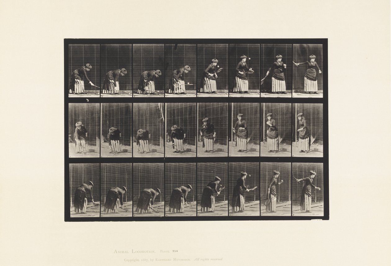 Tavola 295. Tennis su prato; Servizio da Eadweard Muybridge