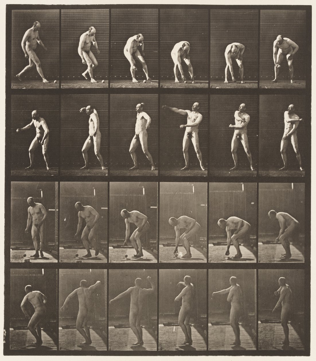 Raccogliere una palla e lanciarla, 1885 da Eadweard Muybridge