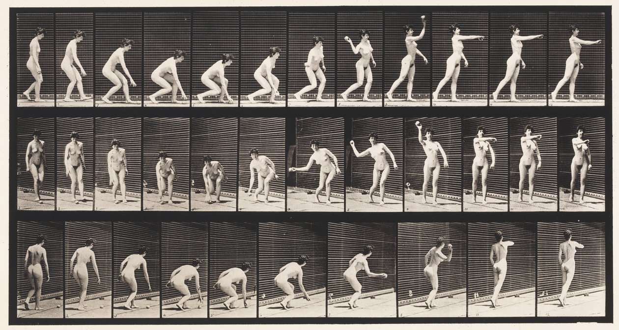 Raccogliere una palla e lanciarla da Eadweard Muybridge