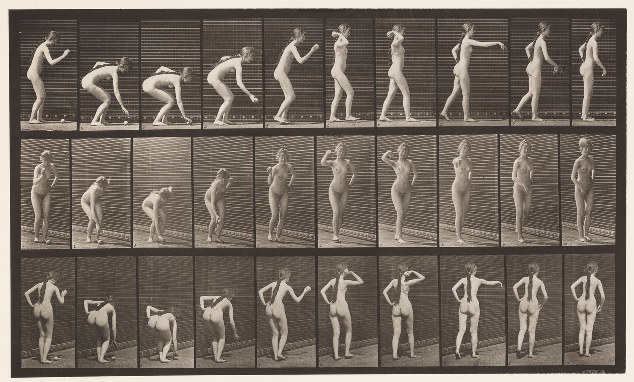 Tavola 304. Raccogliere una palla e lanciarla da Eadweard Muybridge