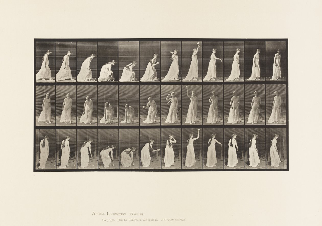 Raccogliere una palla e lanciarla da Eadweard Muybridge
