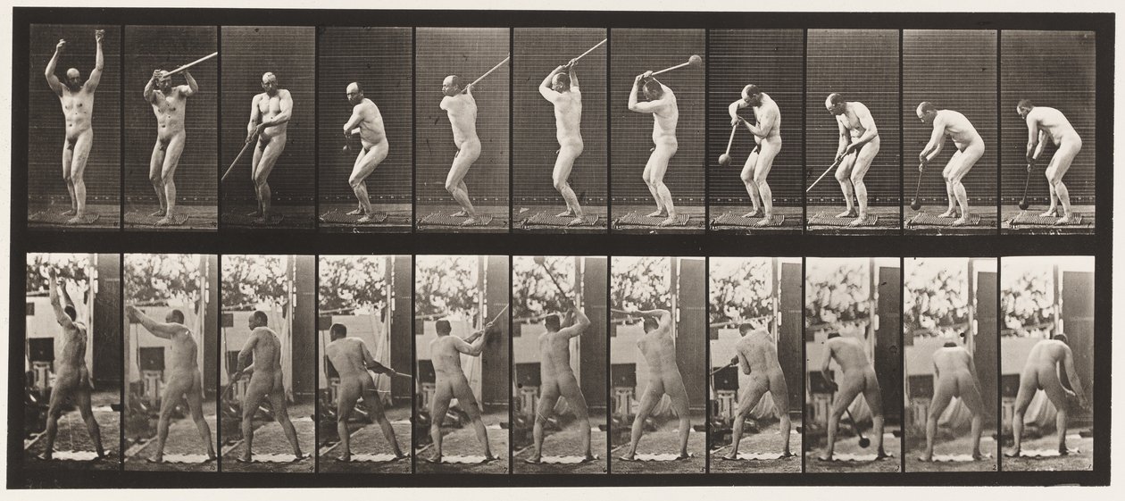 Tavola 308. Lanciare il martello, 1885 da Eadweard Muybridge