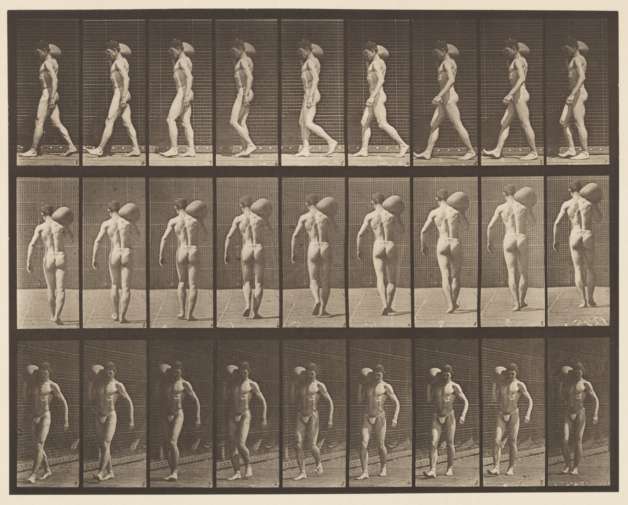 Piatto 31. Camminando, portando una pietra da 75 libbre sulla spalla destra da Eadweard Muybridge