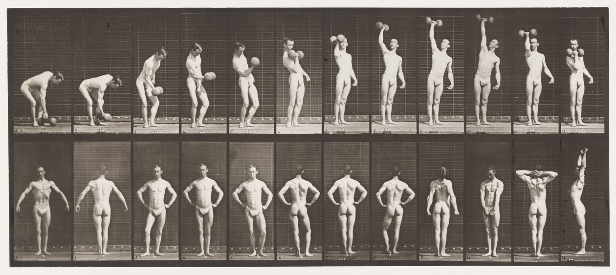 Sollevare un manubrio da 50 libbre; posare (tavola 321) da Eadweard Muybridge