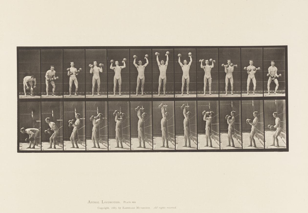 Uomo che solleva manubri da Eadweard Muybridge
