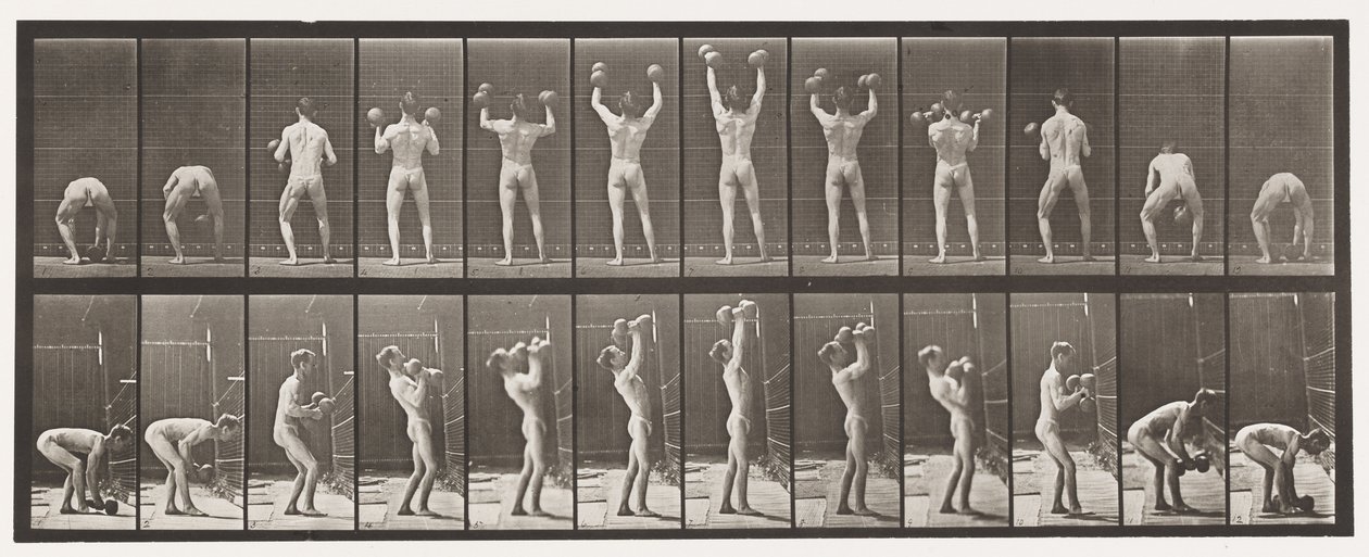 Tavola 323. Sollevamento e abbassamento di due manubri da 50 libbre da Eadweard Muybridge