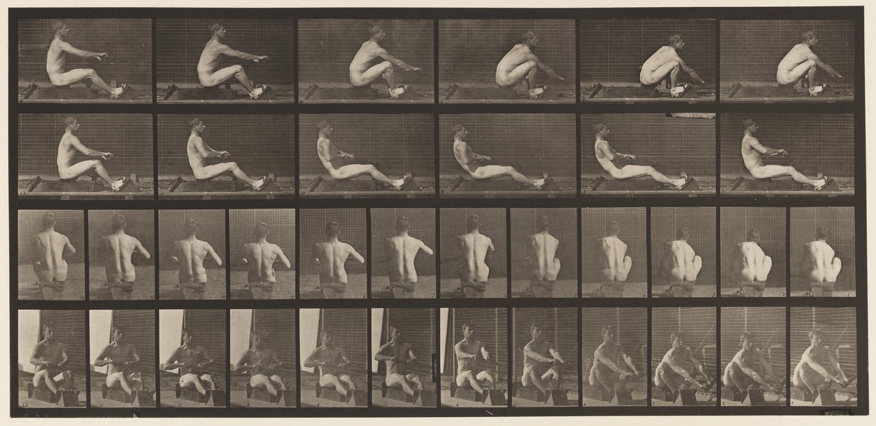 Tavola 328. Canottaggio da Eadweard Muybridge