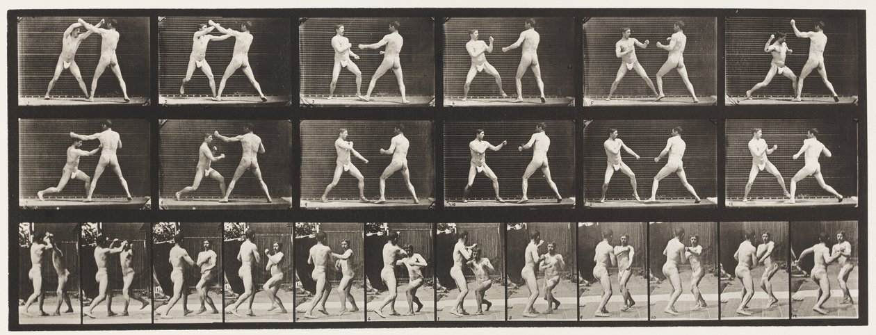 Boxe; (scarpe) da Eadweard Muybridge