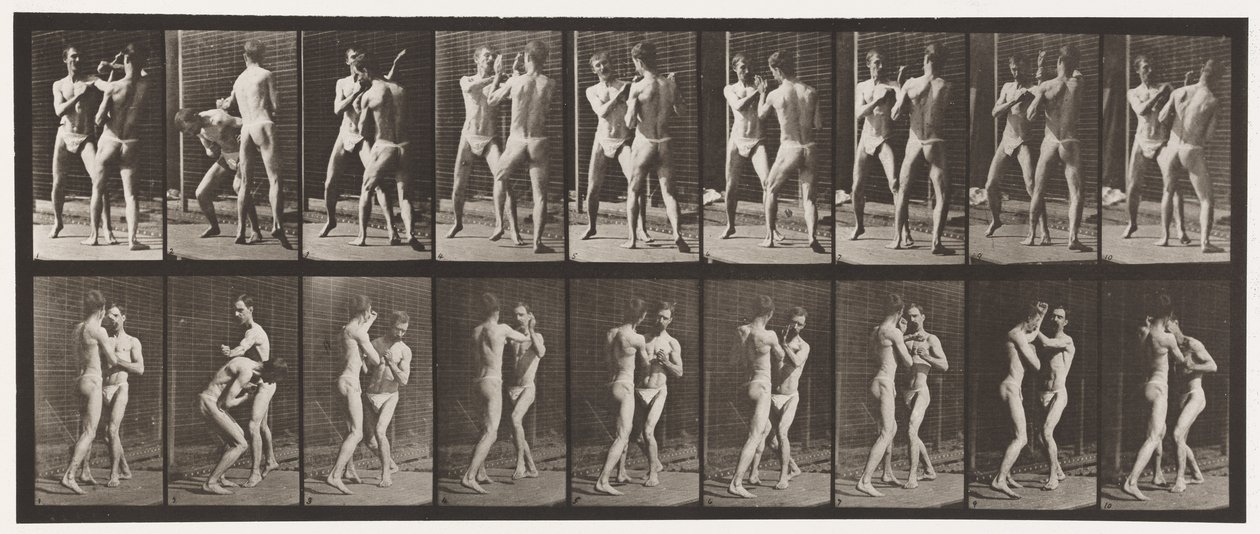 Boxe; Mano Aperta da Eadweard Muybridge