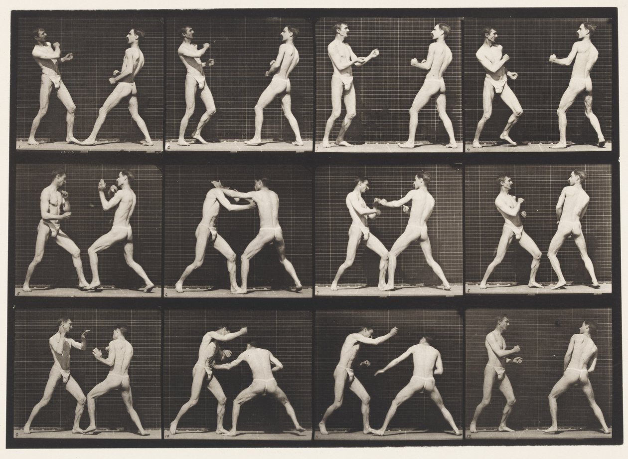 Boxe; mano aperta (con scarpe) (tavola 338) da Eadweard Muybridge