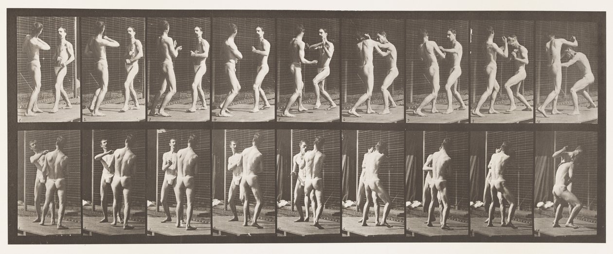 Boxe; Mano Aperta da Eadweard Muybridge