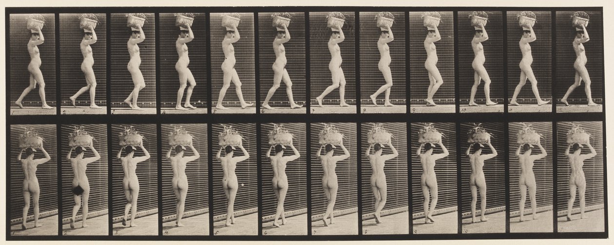 Tavola 33. Camminare, cestino da 14 libbre sulla testa, mani alzate, 1872-1885 da Eadweard Muybridge