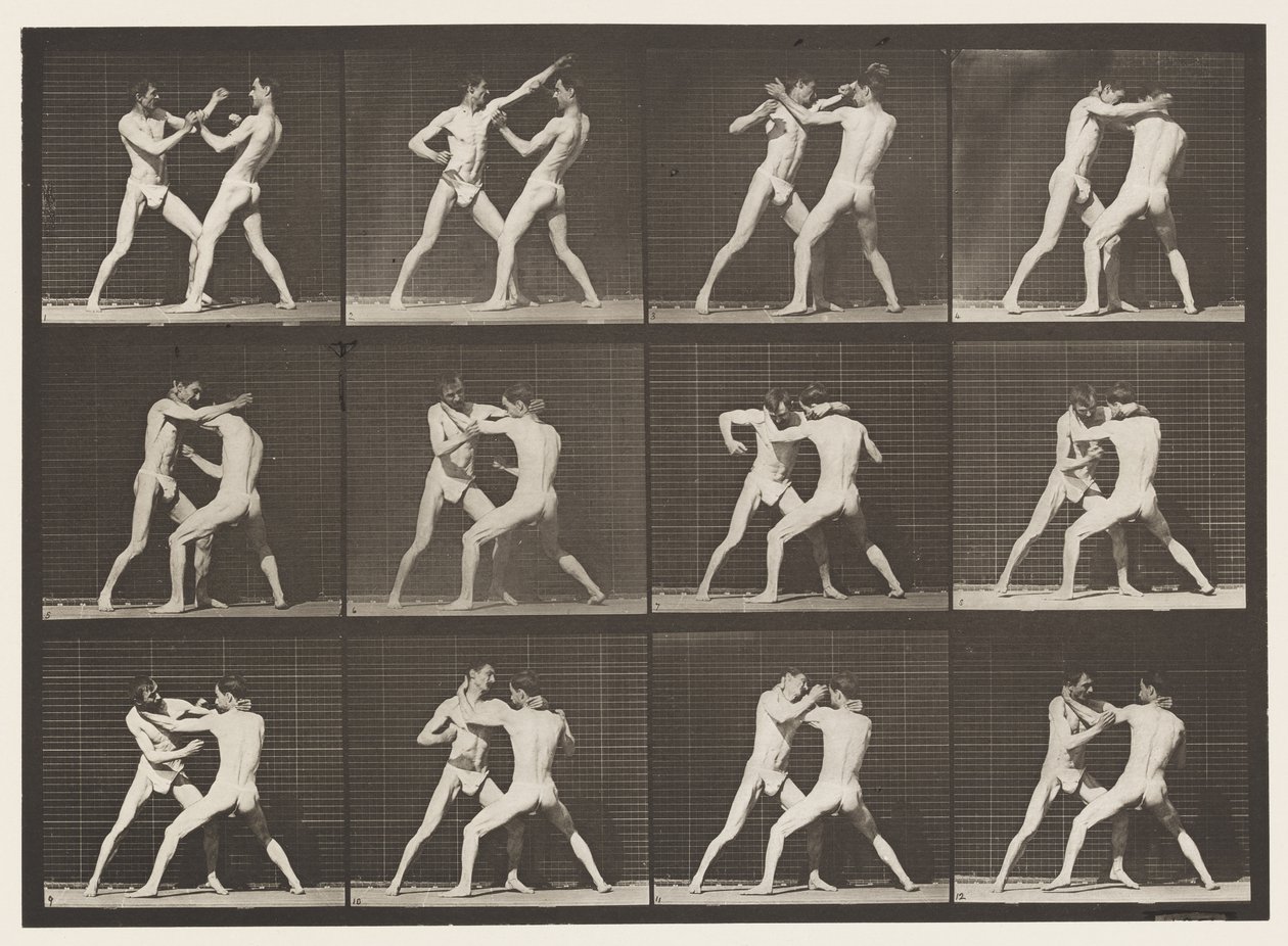 Piastra 340. Boxe; mano aperta da Eadweard Muybridge