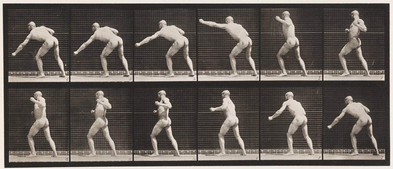 Tavola 343. Sferrare un colpo (mano sinistra) da Eadweard Muybridge