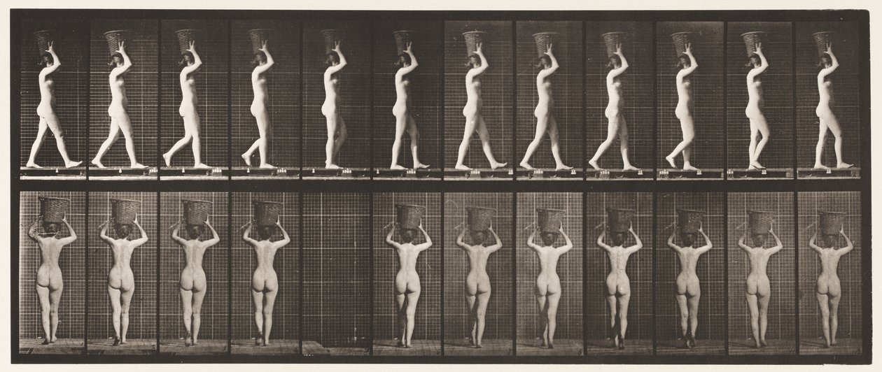 Tavola 34. Camminare da Eadweard Muybridge