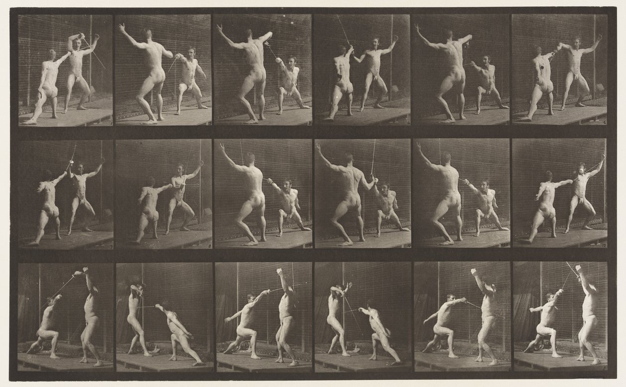 Piastra 350. Schermare da Eadweard Muybridge
